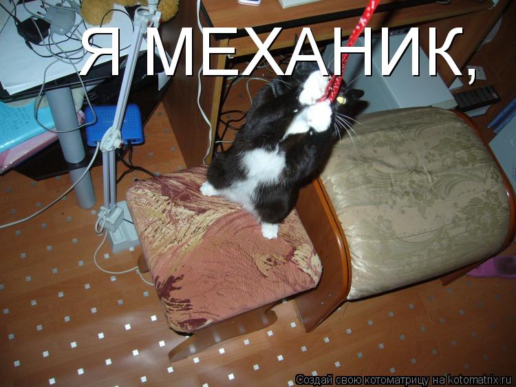 Я МЕХАНИК,... Котоматрица: Я МЕХАНИК,