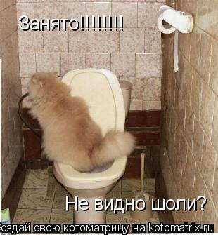 Занято!!!!!!!! Не видно шоли?... Котоматрица: Занято!!!!!!!! Не видно шоли?