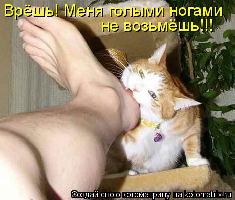 Врёшь! Меня голыми ногами не возьмёшь!!!... Котоматрица: Врёшь! Меня голыми ногами не возьмёшь!!!