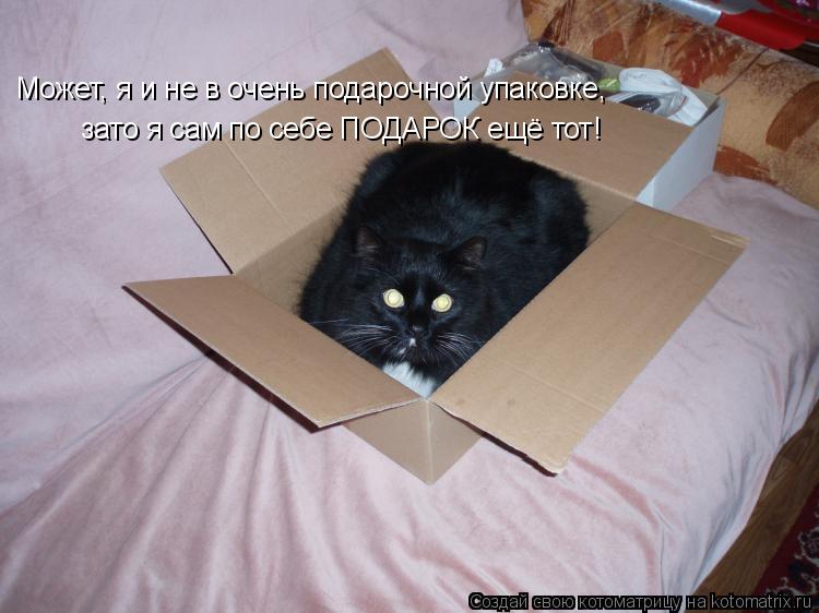 Может, я и не в очень подарочной упаковке, зато я сам по себе ПОДАРОК ещё тот!... Котоматрица: Может, я и не в очень подарочной упаковке, зато я сам по себе ПОДАРОК ещё тот!