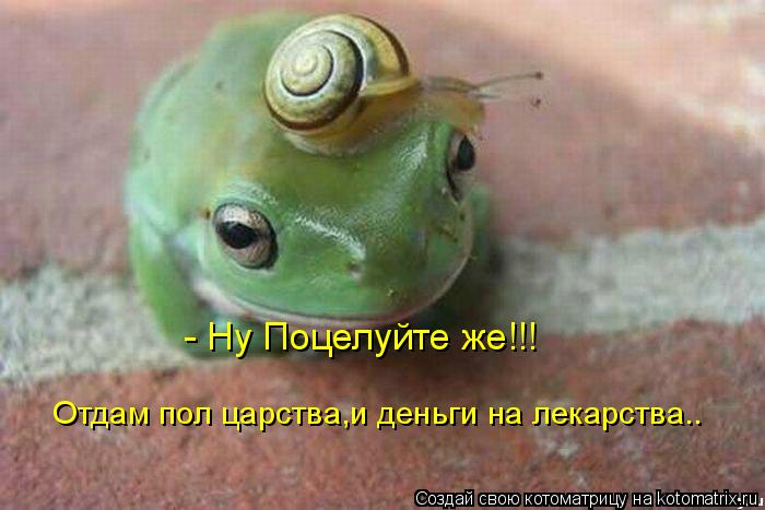 - Ну Поцелуйте же!!! Отдам пол царства,и деньги на лекарства..... Котоматрица: - Ну Поцелуйте же!!! Отдам пол царства,и деньги на лекарства..