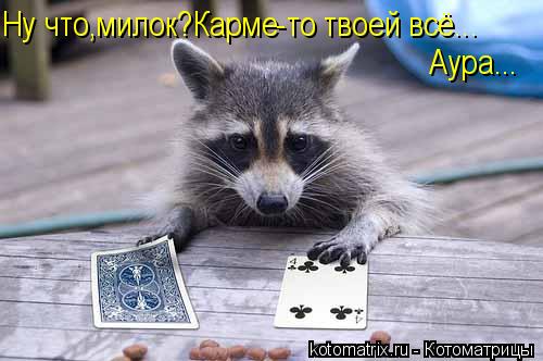 Ну что,милок?Карме-то твоей всё... Аура...... Котоматрица: Ну что,милок?Карме-то твоей всё... Аура...