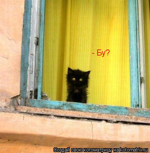 - Бу?... Котоматрица: - Бу?