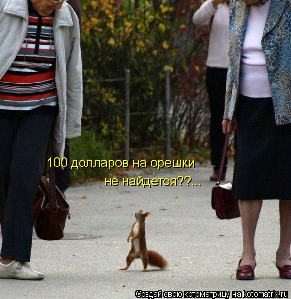 100 долларов на орешки не найдется??...... Котоматрица: 100 долларов на орешки не найдется??...