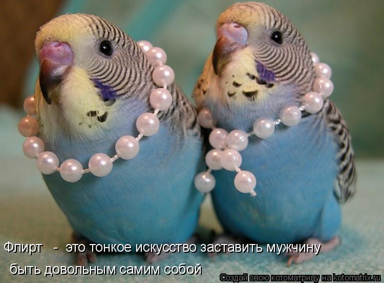 быть довольным самим собой Флирт - это тонкое искусство заставить мужчину... Котоматрица: быть довольным самим собой Флирт - это тонкое искусство заставить мужчину