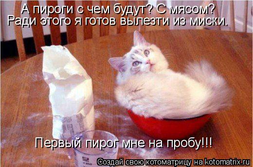 А пироги с чем будут? С мясом? Ради этого я готов вылезти из миски. Первый пирог мне на пробу!!!... Котоматрица: А пироги с чем будут? С мясом? Ради этого я готов вылезти из миски. Первый пирог мне на пробу!!!