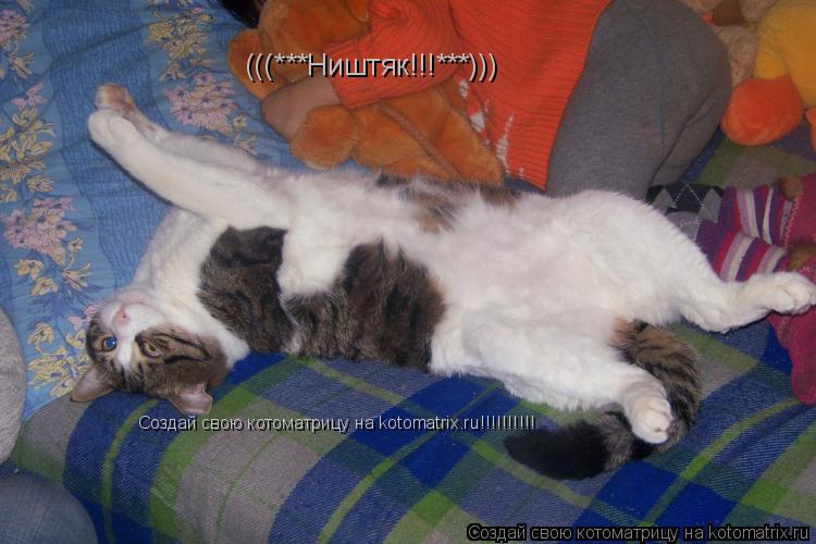 (((***Ништяк!!!***))) Создай свою котоматрицу на kotomatrix.ru!!!!!!!!!!... Котоматрица: (((***Ништяк!!!***))) Создай свою котоматрицу на kotomatrix.ru!!!!!!!!!!
