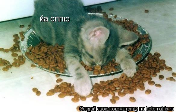 йа сплю... Котоматрица: йа сплю