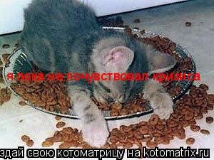 я пока не почувствовал кризиса я пока не почувствовал кризиса... Котоматрица: я пока не почувствовал кризиса я пока не почувствовал кризиса
