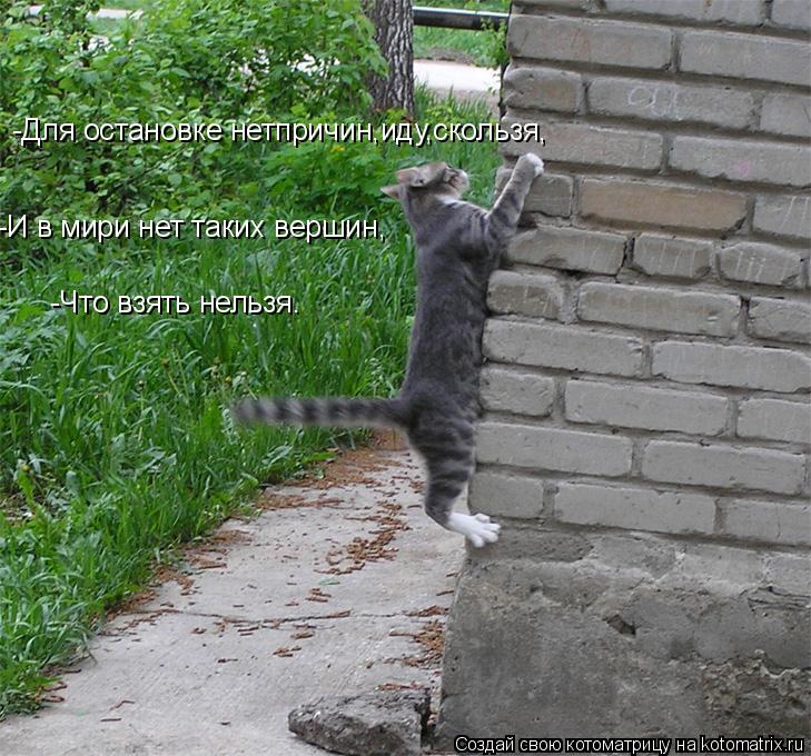 -Для остановке нетпричин,иду,скользя, -И в мири нет таких вершин, -Что взять нельзя.... Котоматрица: -Для остановке нетпричин,иду,скользя, -И в мири нет таких вершин, -Что взять нельзя.