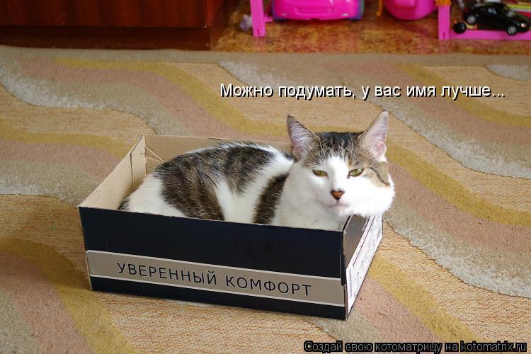 Можно подумать, у вас имя лучше...... Котоматрица: Можно подумать, у вас имя лучше...