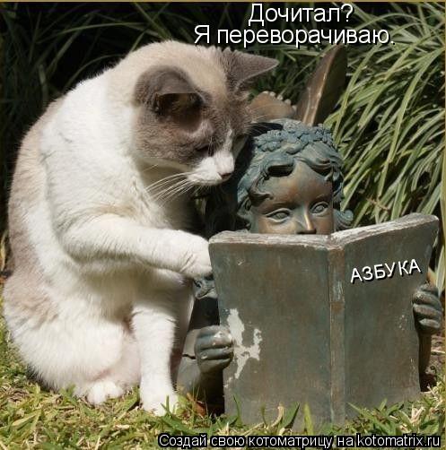 Дочитал? Я переворачиваю. АЗБУКА... Котоматрица: Дочитал? Я переворачиваю. АЗБУКА