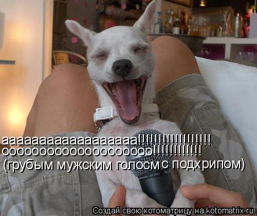 аааааааааааааааааа!!!!!!!!!!!!!!!!!! оооооооооооооооооооо!!!!!!!!!!!! (грубым мужским голосм с подхри... Котоматрица: аааааааааааааааааа!!!!!!!!!!!!!!!!!! оооооооооооооооооооо!!!!!!!!!!!! (грубым мужским голосм с подхрипом)
