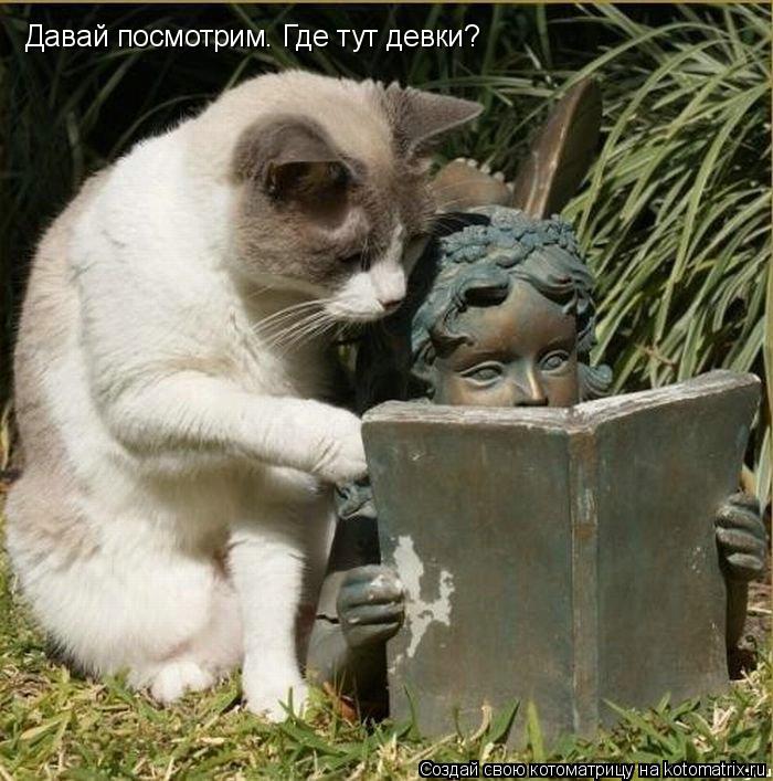 Давай посмотрим. Где тут девки?... Котоматрица: Давай посмотрим. Где тут девки?
