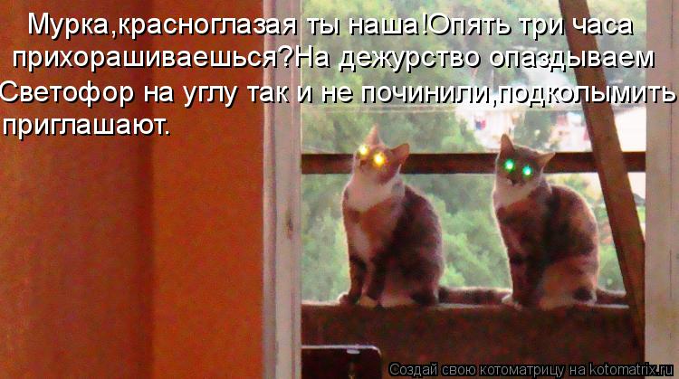 Мурка,красноглазая ты наша!Опять три часа прихорашиваешься?На дежурство опаздываем Светофор на углу ... Котоматрица: Мурка,красноглазая ты наша!Опять три часа прихорашиваешься?На дежурство опаздываем Светофор на углу так и не починили,подколымить пригла