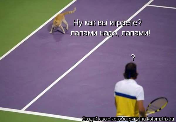 Ну как вы играете? лапами надо, лапами! ?... Котоматрица: Ну как вы играете? лапами надо, лапами! ?