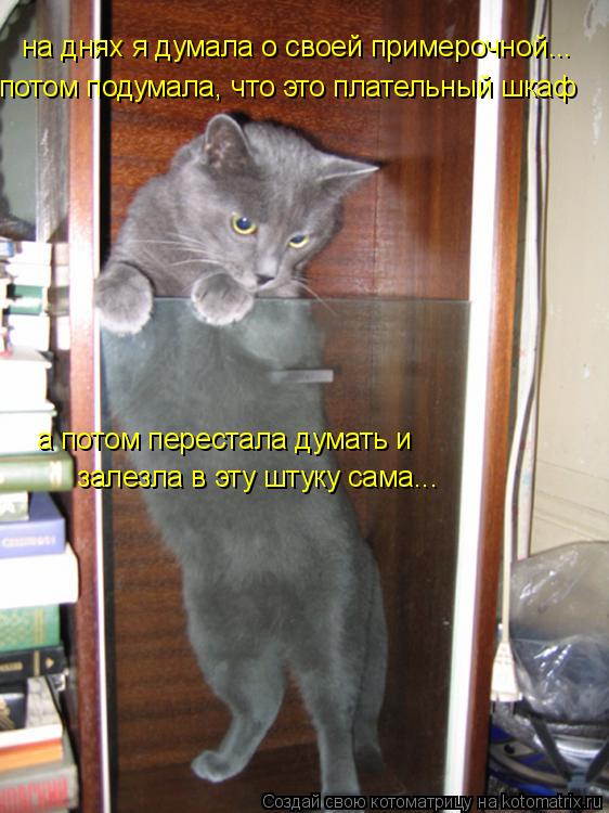 на днях я думала о своей примерочной... потом подумала, что это плательный шкаф а потом перестала дум... Котоматрица: на днях я думала о своей примерочной... потом подумала, что это плательный шкаф а потом перестала думать и залезла в эту штуку сама...