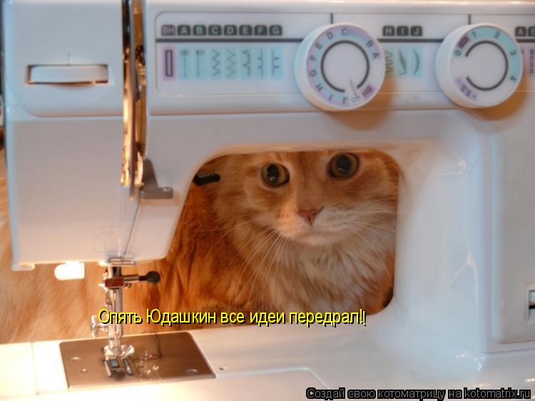Опять Юдашкин все идеи передрал! !... Котоматрица: Опять Юдашкин все идеи передрал! !