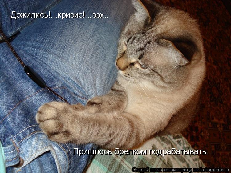 Дожились!...кризис!...ээх.. Пришлось брелком подрабатывать...... Котоматрица: Дожились!...кризис!...ээх.. Пришлось брелком подрабатывать...