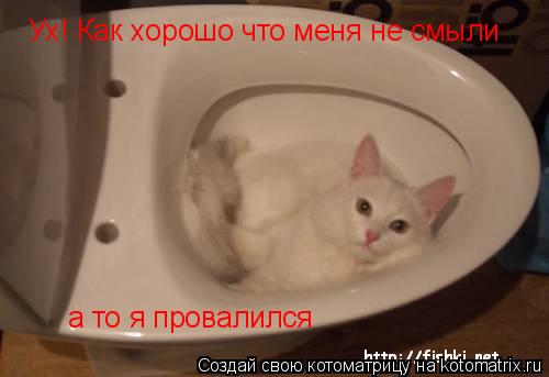 Ух! Как хорошо что меня не смыли а то я провалился... Котоматрица: Ух! Как хорошо что меня не смыли а то я провалился