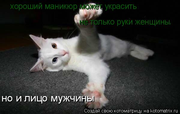 хороший маникюр может украсить не только руки женщины но и лицо мужчины ,... Котоматрица: хороший маникюр может украсить не только руки женщины но и лицо мужчины ,