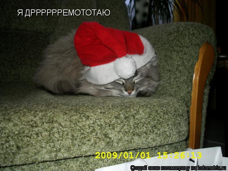 Я ДРРРРРРЕМОТОТАЮ... Котоматрица: Я ДРРРРРРЕМОТОТАЮ
