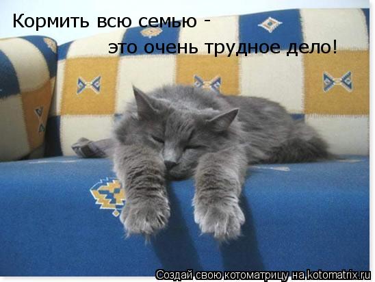 Кормить всю семью - это очень трудное д03, Кормить всю семью - это очень трудное дело!... Котоматрица: Кормить всю семью - это очень трудное д03, Кормить всю семью - это очень трудное дело!