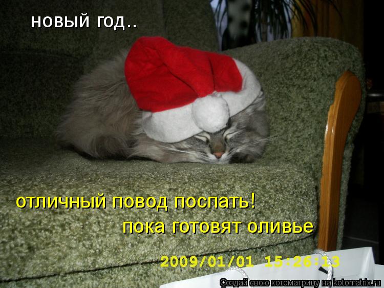 новый год.. отличный повод поспать! пока готовят оливье... Котоматрица: новый год.. отличный повод поспать! пока готовят оливье