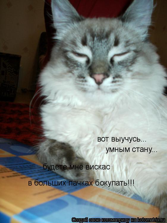 вот выучусь... умным стану... будете мне вискас в больших пачках бокупать!!!... Котоматрица: вот выучусь... умным стану... будете мне вискас в больших пачках бокупать!!!