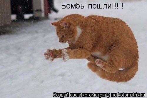 Бомбы пошли!!!!!... Котоматрица: Бомбы пошли!!!!!