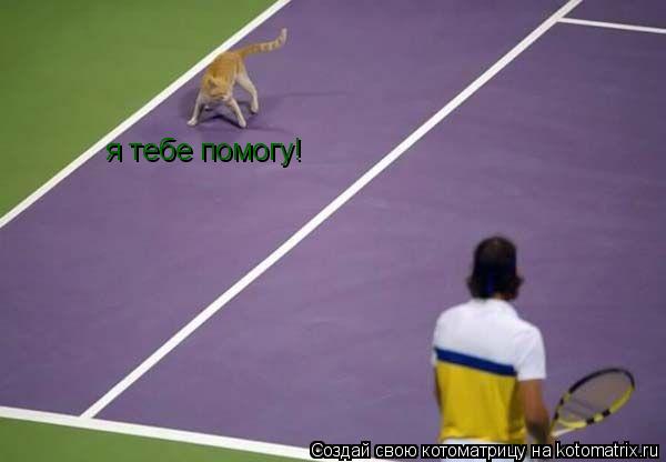 я тебе помогу!... Котоматрица: я тебе помогу!
