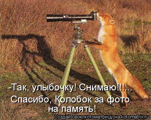 -Так, улыбочку! Снимаю!!!... Спасибо, Колобок за фото на память!... Котоматрица: -Так, улыбочку! Снимаю!!!... Спасибо, Колобок за фото на память!