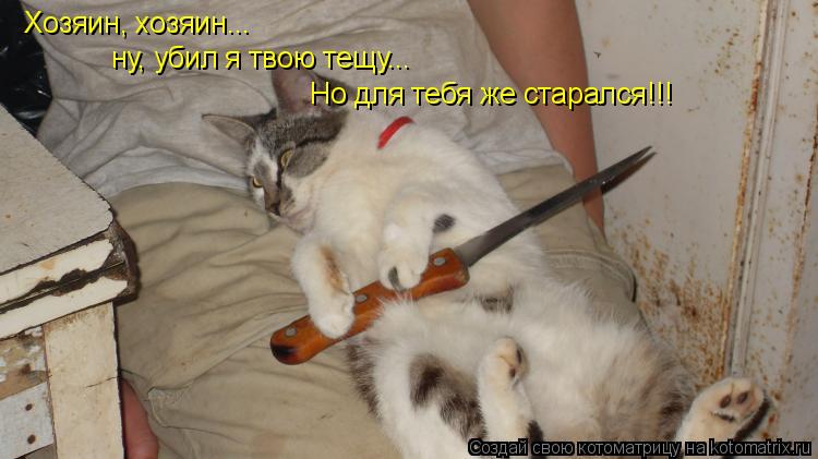 Хозяин, хозяин... ну, убил я твою тещу... Но для тебя же старался!!!... Котоматрица: Хозяин, хозяин... ну, убил я твою тещу... Но для тебя же старался!!!