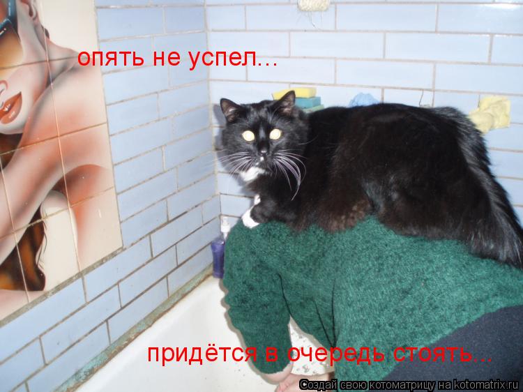 опять не успел... придётся в очередь стоять...... Котоматрица: опять не успел... придётся в очередь стоять...