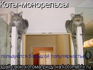 Коты-монорельсы пользуются большой популярностью.... Котоматрица: Коты-монорельсы пользуются большой популярностью.