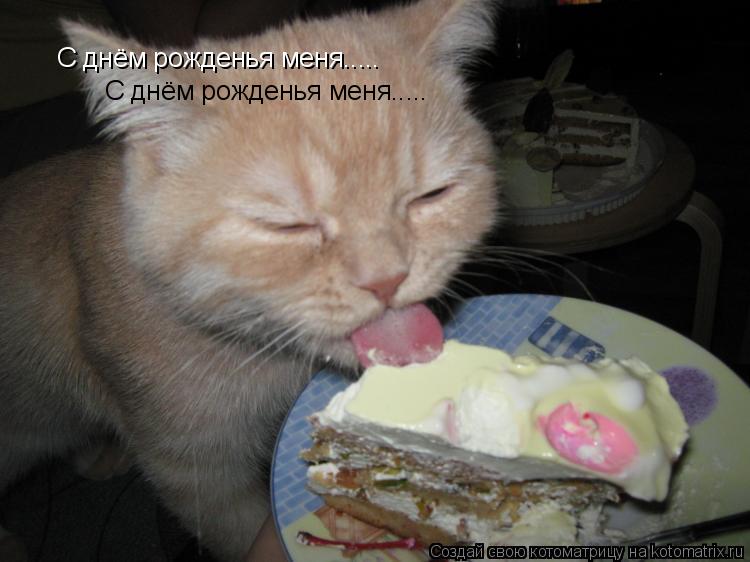 С днём рожденья меня..... С днём рожденья меня........ Котоматрица: С днём рожденья меня..... С днём рожденья меня.....