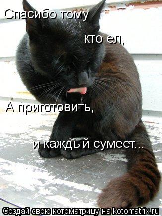 Спасибо тому кто ел, А приготовить, и каждый сумеет...... Котоматрица: Спасибо тому кто ел, А приготовить, и каждый сумеет...