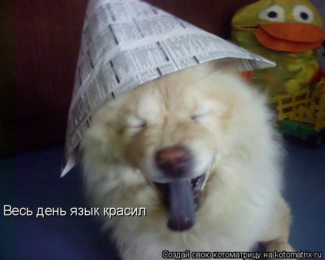 Весь день язык красил... Котоматрица: Весь день язык красил