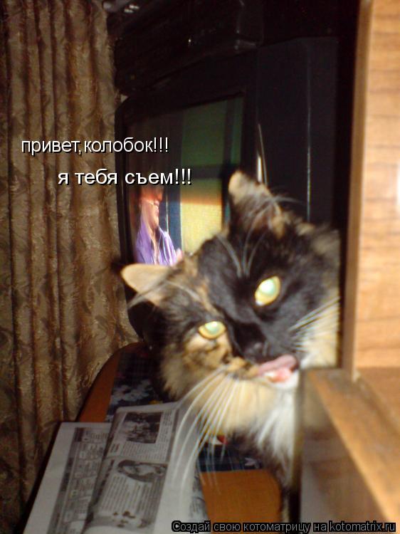 привет,колобок!!! я тебя съем!!!... Котоматрица: привет,колобок!!! я тебя съем!!!