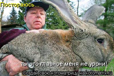 ты это главное меня не урони! Постораюсь...... Котоматрица: ты это главное меня не урони! Постораюсь...