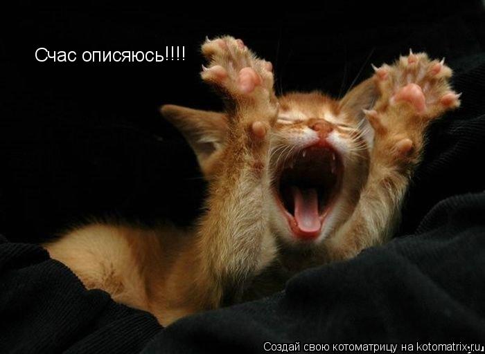 Котоматрица: Счас описяюсь !!!!