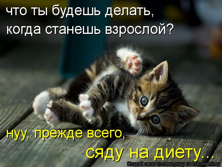 что ты будешь делать, когда станешь взрослой? нуу, прежде всего, сяду на диету...... Котоматрица: что ты будешь делать, когда станешь взрослой? нуу, прежде всего, сяду на диету...