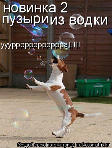 Котоматрица: ууурррррррррррра !!!!! пузыри  новинка 2 из водки