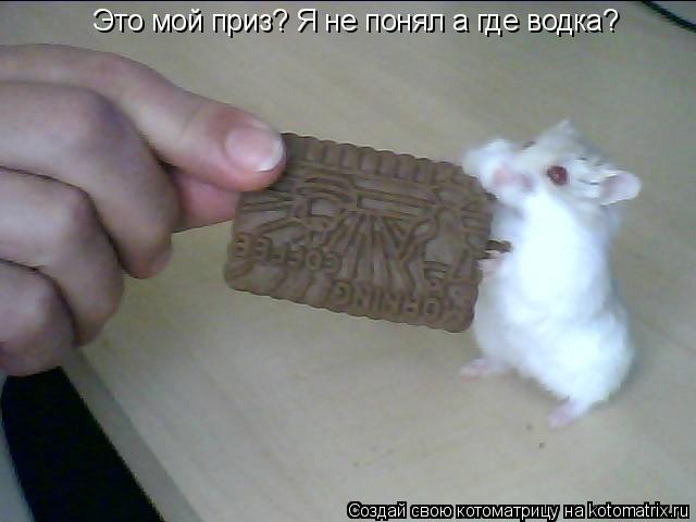 Это мой приз? Я не понял а где водка?... Котоматрица: Это мой приз? Я не понял а где водка?