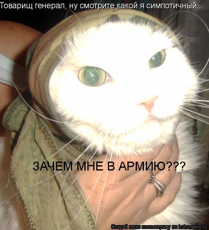 Котоматрица: Товарищ генерал, ну смотрите какой я симпотичный... ЗАЧЕМ МНЕ В АРМИЮ???