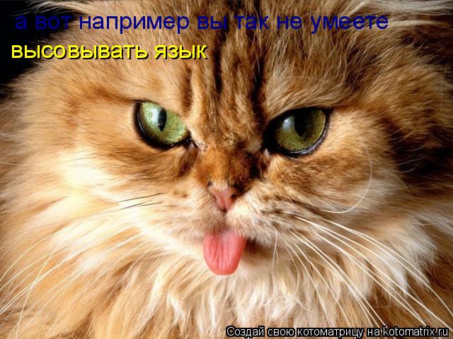 а вот например вы так не умеете высовывать язык... Котоматрица: а вот например вы так не умеете высовывать язык