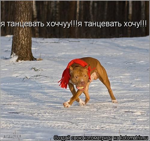 я танцевать хоччуу!!!я танцевать хочу!!!... Котоматрица: я танцевать хоччуу!!!я танцевать хочу!!!