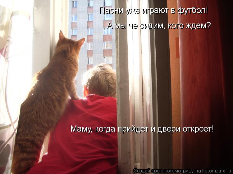 Парни уже играют в футбол! Парни уже играют в футбол! А мы че сидим, кого ждем? Маму, когда прийдет и... Котоматрица: Парни уже играют в футбол! Парни уже играют в футбол! А мы че сидим, кого ждем? Маму, когда прийдет и двери откроет!