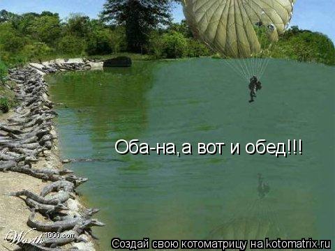 Оба-на,а вот и обед!!!... Котоматрица: Оба-на,а вот и обед!!!
