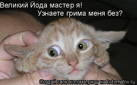 Великий Йода мастер я! Узнаете грима меня без?... Котоматрица: Великий Йода мастер я! Узнаете грима меня без?